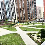 Osapart In A Complex Semycvit 14 *
